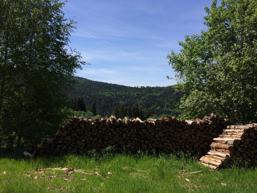 Ferienwohnung Gut Eschlsaign Arrach Buitenkant foto