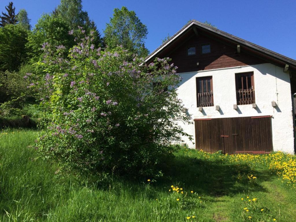 Ferienwohnung Gut Eschlsaign Arrach Buitenkant foto